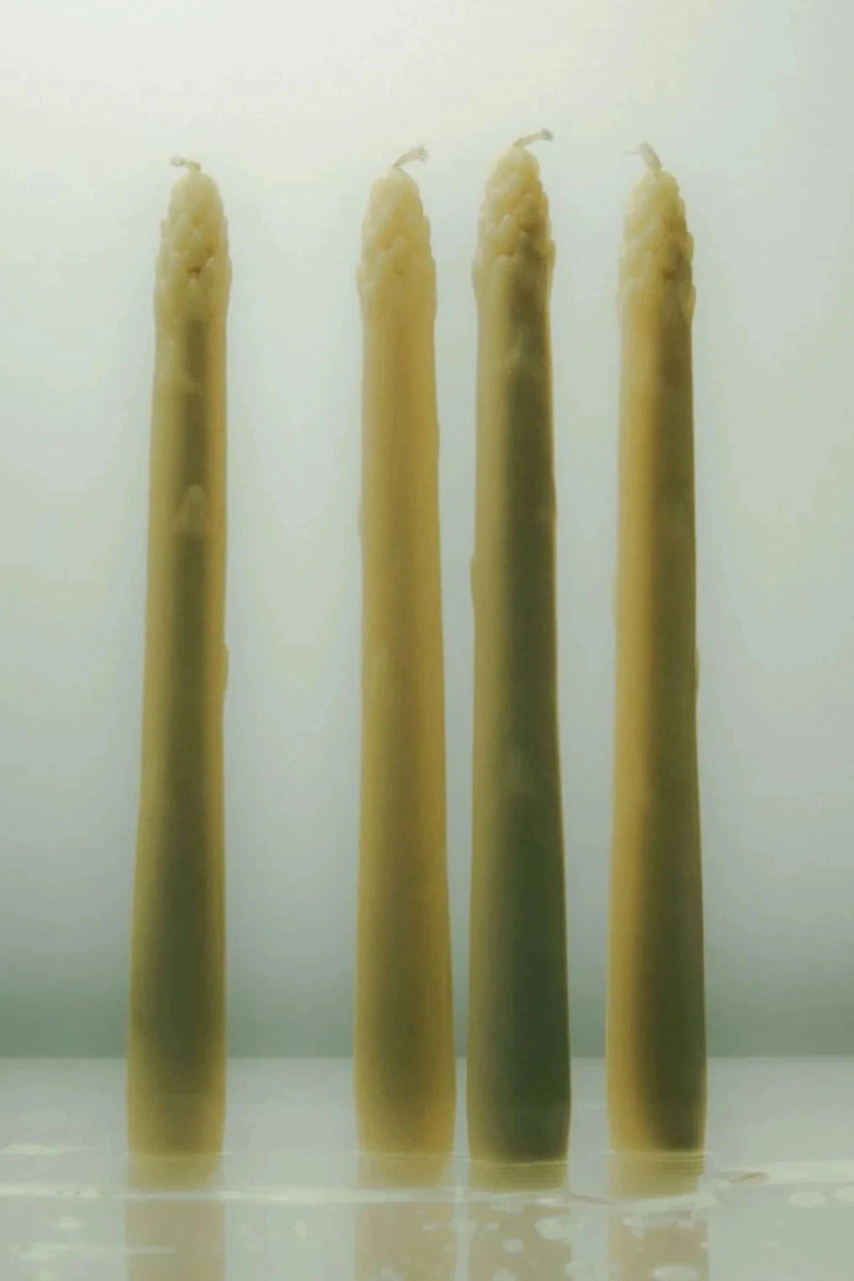 Ivory Asparagus Bunch