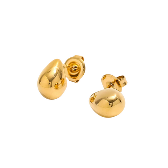 Bottega 18k Gold Plated Earrings